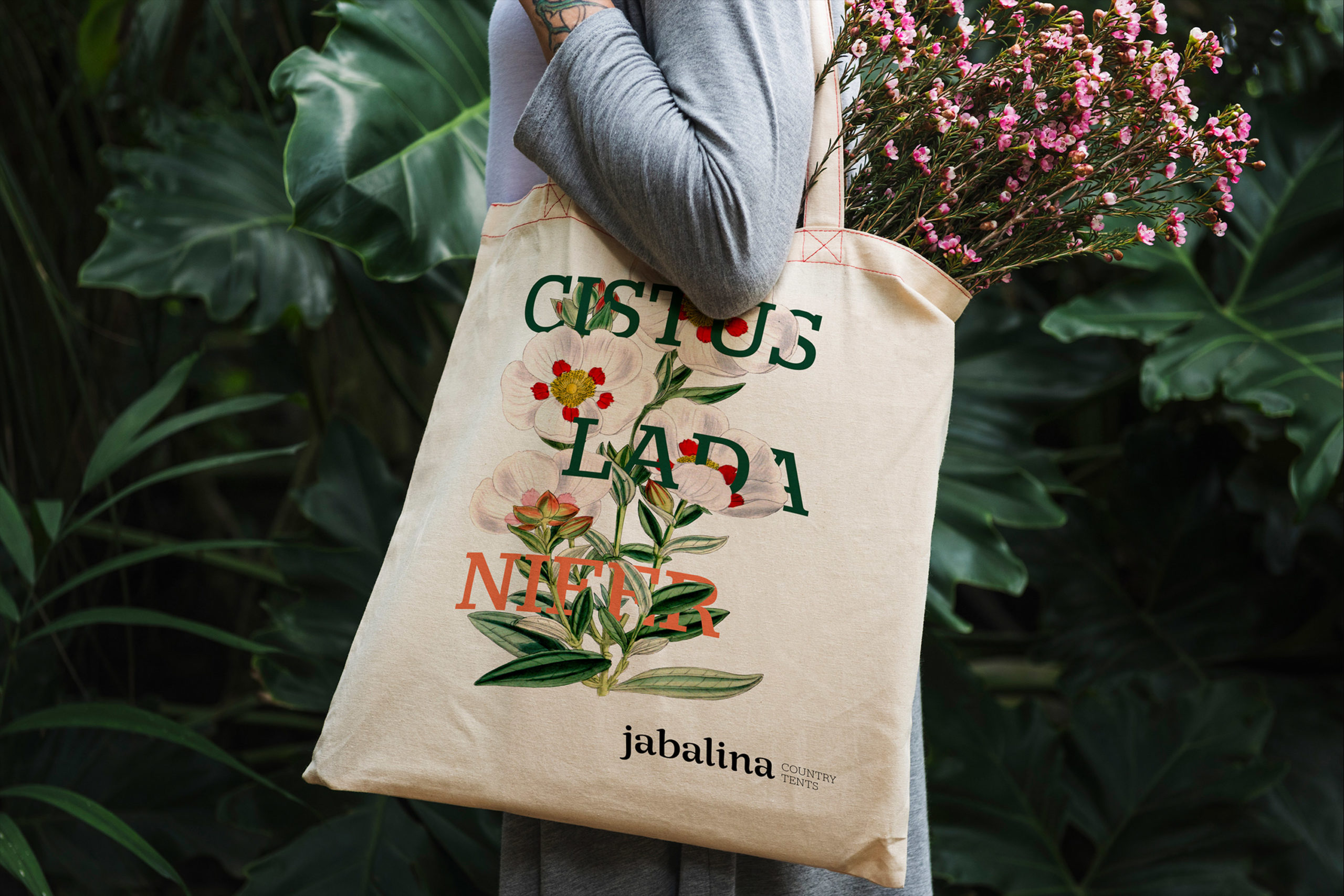 Proyecto de naming y Branding para jabalina Proyecto de naming y Branding para jabalina